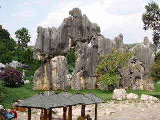 stone forest entrance