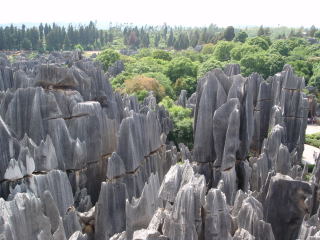 inside the stone forest